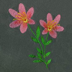 Floral 054 04 machine embroidery designs