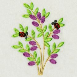 Floral 057 06 machine embroidery designs
