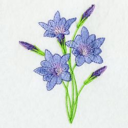 Floral 059 06 machine embroidery designs