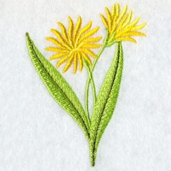 Floral 062 03 machine embroidery designs