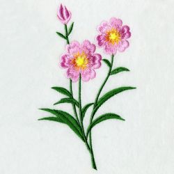Floral 062 04 machine embroidery designs