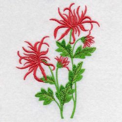 Floral 062 07 machine embroidery designs