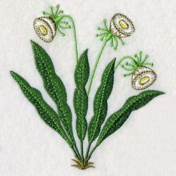 Floral 068 05 machine embroidery designs