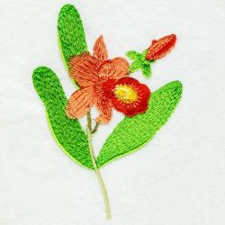 Floral 077 09 machine embroidery designs