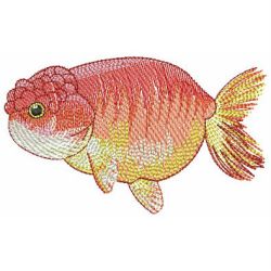 Goldfish 04(Md) machine embroidery designs