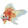 Goldfish 06(Md)