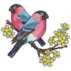 Beauty Birds 02(Md) machine embroidery designs