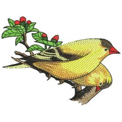 Beauty Birds 05(Md) machine embroidery designs
