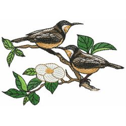 Beauty Birds 07(Md) machine embroidery designs