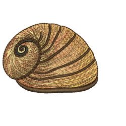 Seashells machine embroidery designs