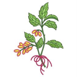 Variegated Plants(Lg) machine embroidery designs