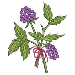 Variegated Plants 03(Md) machine embroidery designs