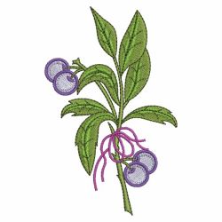 Variegated Plants 07(Sm) machine embroidery designs