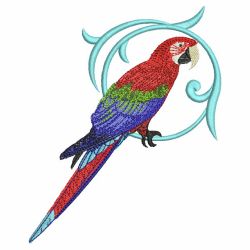 Parrots 02 machine embroidery designs