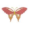 Fancy Butterflies 09