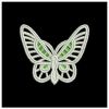 FSL Butterflies