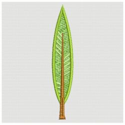 FSL Trees 04