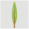 FSL Trees 04