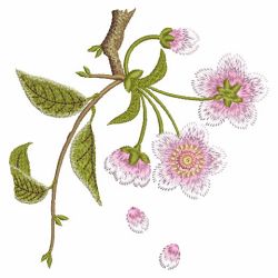 Cherry Blossom 10(Md) machine embroidery designs