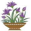 Colorful Lily(Sm)