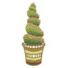 Topiaries 16