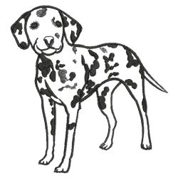 Dog Outlines(Md) machine embroidery designs