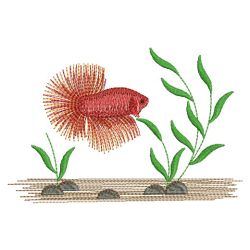 Tropical Fish(Md) machine embroidery designs
