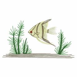 Tropical Fish 02(Md)