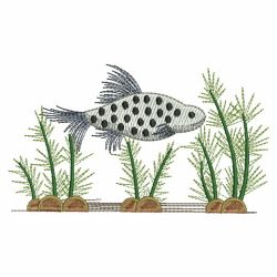 Tropical Fish 07(Md)