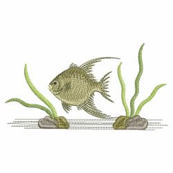Tropical Fish 10(Md)