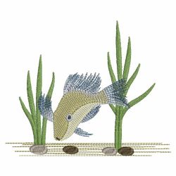 Tropical Fish 12(Md)