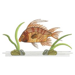 Tropical Fish 14(Md) machine embroidery designs