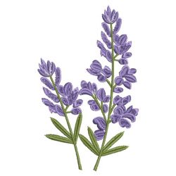Lavender 07(Sm)