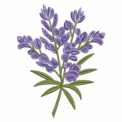 Lavender 09(Sm)
