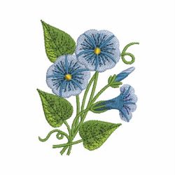 Morning Glory 02 machine embroidery designs