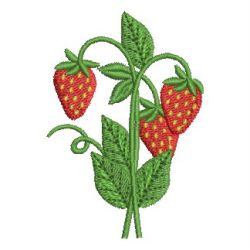 Strawberries 07 machine embroidery designs