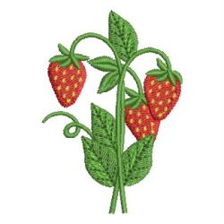 Strawberries 07