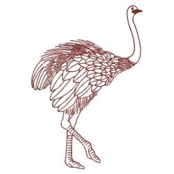 Redwork Ostrich 01(Lg) machine embroidery designs