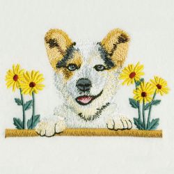 Dogs 3 02 machine embroidery designs
