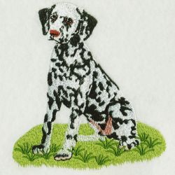 Dogs 3 05