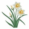 Daffodils 09(Lg)