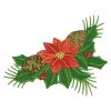 Poinsettia 10