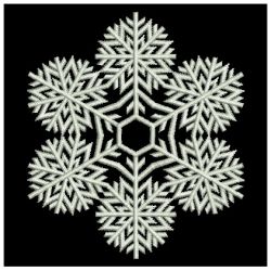 It is Snowing 06