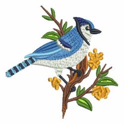 Blue Jay machine embroidery designs