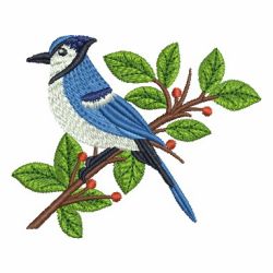 Blue Jay 02 machine embroidery designs