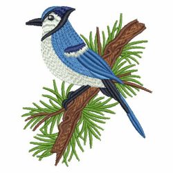 Blue Jay 04 machine embroidery designs