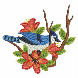 Blue Jay 05