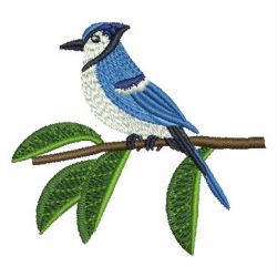 Blue Jay 10