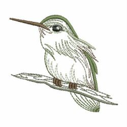 Vintage Hummingbird 2 03