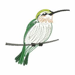 Vintage Hummingbird 2 09 machine embroidery designs
